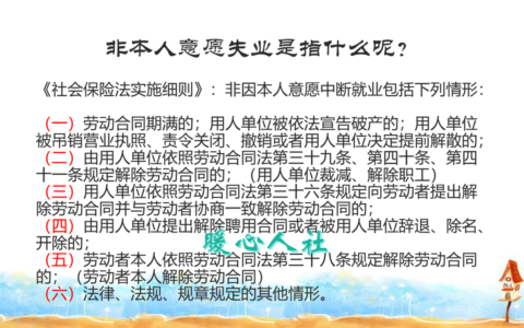2024失业金领取标准及失业保险如何办理流程