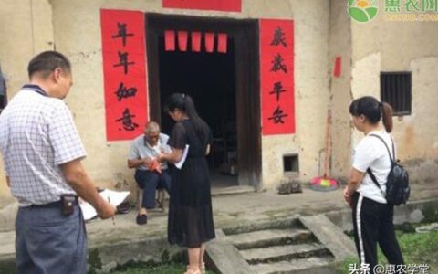 农村低保户是一年一补吗？每年能领多少钱？和城市低保有区别吗？