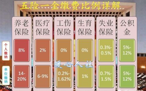 公司五险一金是怎么交的及五险一金自费缴纳标准