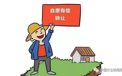 宅基地转让的协议书怎么写及宅基地转让合同协议书