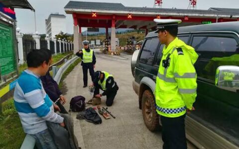 打死一只野猪判多少年！