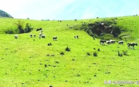 刘英诉胡某保证合同纠纷二审代理词