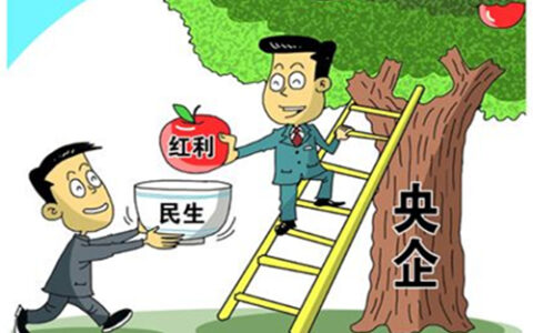 企业性质有哪些种类及企业管理的五大体系
