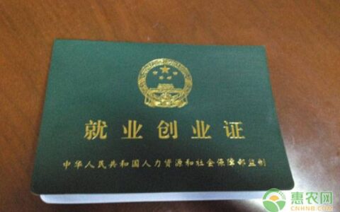 创业补助金什么标准及国家创业补贴新政策