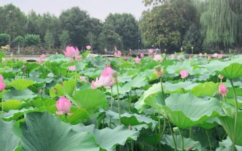 怎么起诉离婚需要什么材料及起诉离婚的资料和费用
