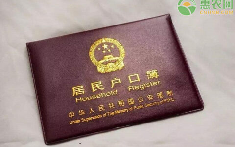 户口再迁回原籍条件及户口转出再转回的条件
