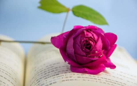 刑事和解的适用条件及范围及8种轻微刑事案件撤案标准