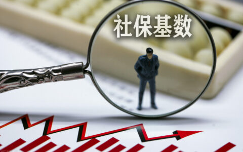 个人缴存基数是什么东西及缴存基数的释义