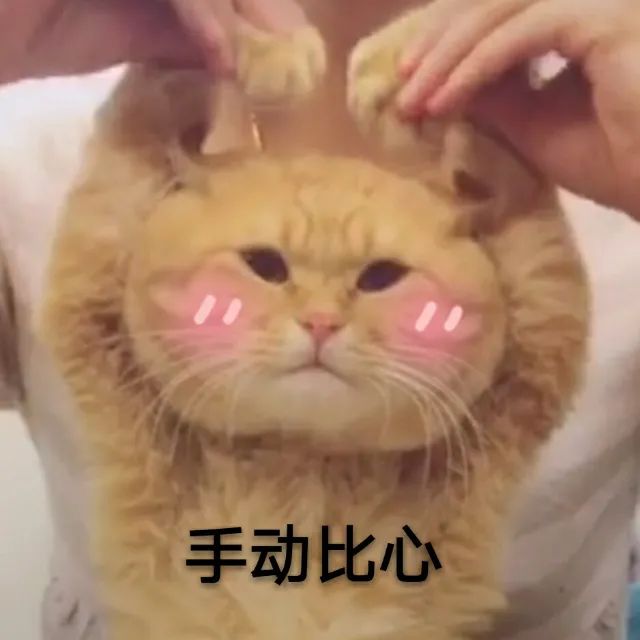险象环生!高速倒车近2分钟,12分没了! | 一线微观