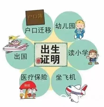 新手爸妈必备!新生儿出生证明办理须知