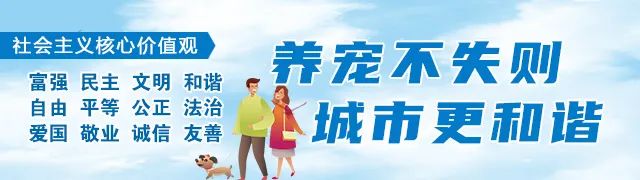购买二手房,如何申办公积金贷款?回复来了