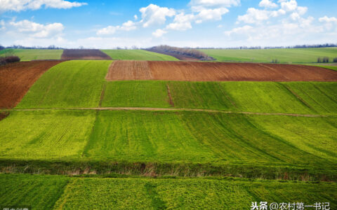 土地承包合同范本及正规土地承包合同范本