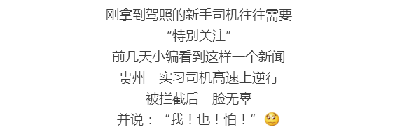 我!不!服!刚拿驾照1年不能单独上高速?看完懂了……