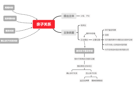 亲子关系证明怎么开及证明亲子关系的有效证明材料