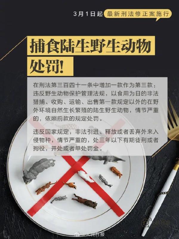 3月1日起，抢公交车方向盘、高空抛物等行为触犯刑法