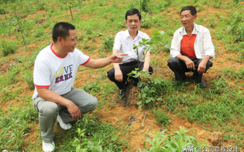 技术入股合同协议书范本及简单的入股合作协议书
