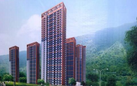 大产权房是什么意思及大产权房指代的意思