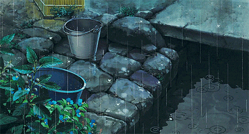 社会主义法律的基本属性:平等