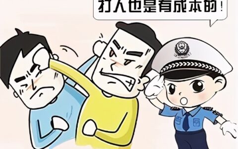 打架后不接受警察调解会怎样？对方态度嚣张，我能不接受调解吗？