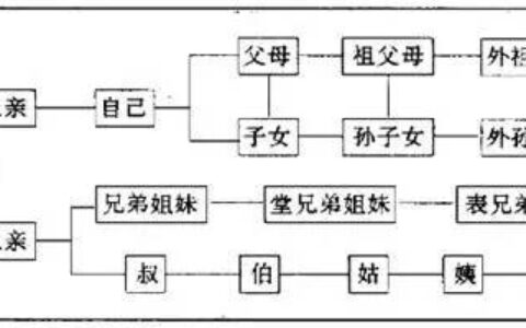 旁系血亲三代怎么计算及旁系血亲三代的判定