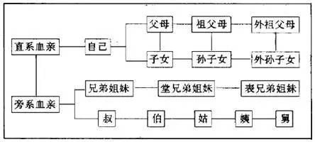 一看就会直系血亲、旁系血亲及其代数的判定,看看你算不算近亲结婚