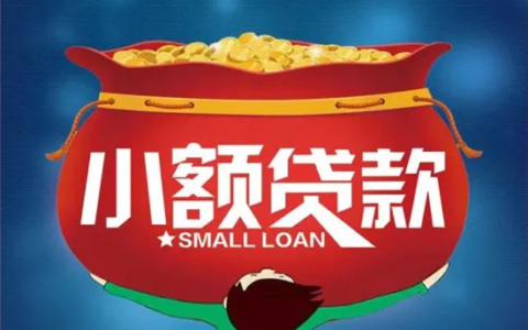 什么是小额贷款及实现小额贷款标准和要求