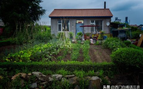 农村宅基地可以买卖吗合法吗及关于农村宅基地的最新政策