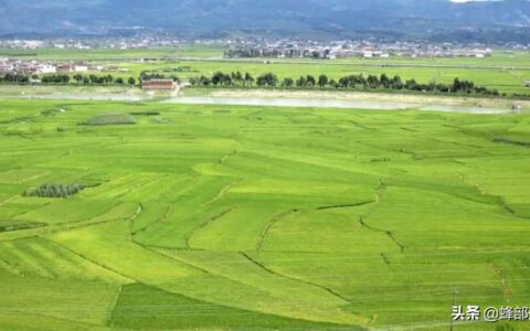 农村承包土地退出可得多少补偿？最高可拿10万，退出流程就3点