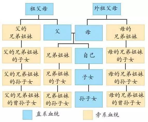 一看就会直系血亲、旁系血亲及其代数的判定,看看你算不算近亲结婚
