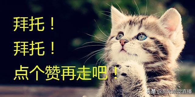债券有哪些类型？债券的三种类别