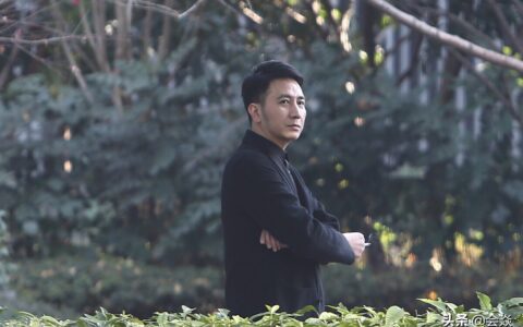 林生斌被曝家暴出轨及杭州保姆纵火案再爆新料