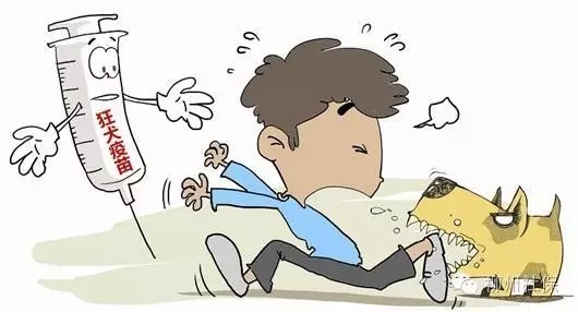 打狂犬疫苗可以用医保支付吗?