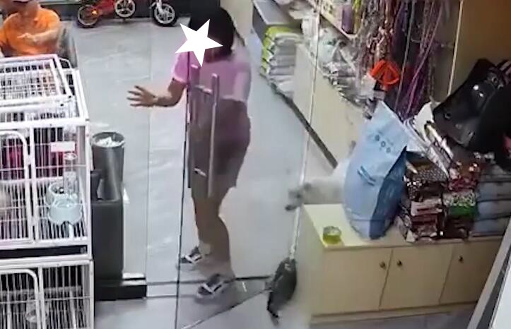 女孩推玻璃门夹死小猫，未必阴暗但缺仁爱，店主约其家长面谈解决