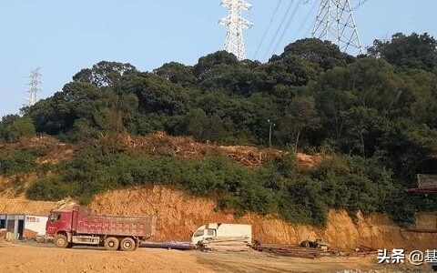 林地补偿标准是多少及最新林地补偿标准