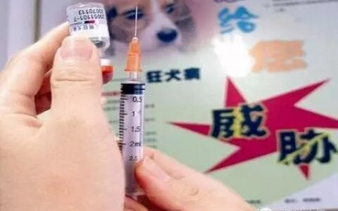 狂犬疫苗能刷医保卡吗及2024狂犬疫苗价目表