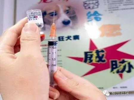 打狂犬疫苗可以用医保支付吗？