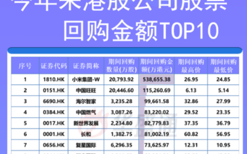 什么叫回购股票及回购股票名词解释