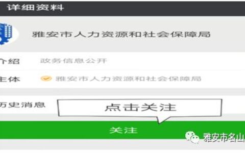 企业补充养老保险怎么查及养老保险补缴查询