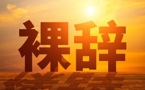 成都社保补缴在哪里及成都社保补缴的方法