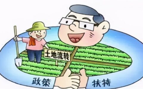 村主任独自盖章将集体土地转让他人，违法吗？