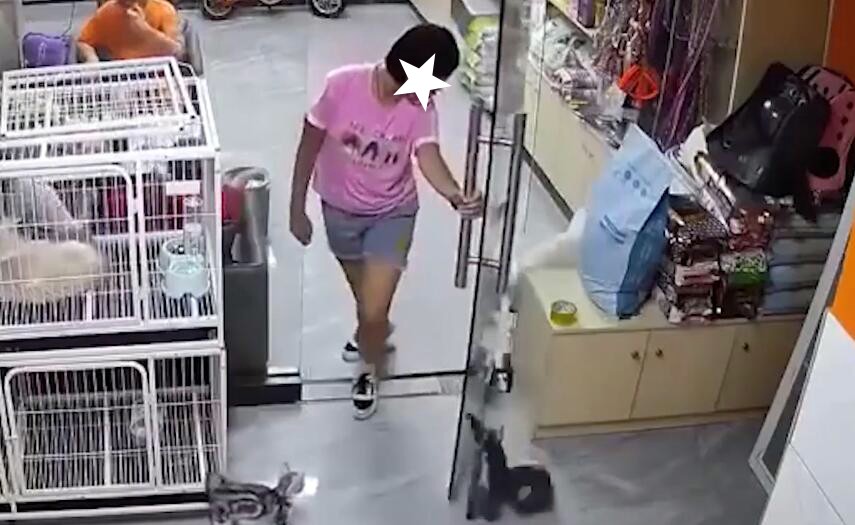 女孩推玻璃门夹死小猫，未必阴暗但缺仁爱，店主约其家长面谈解决