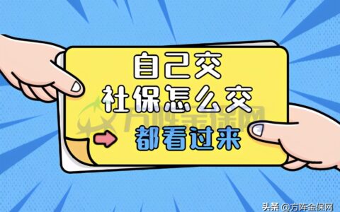 社保自己怎么交费及两种方式教你选择