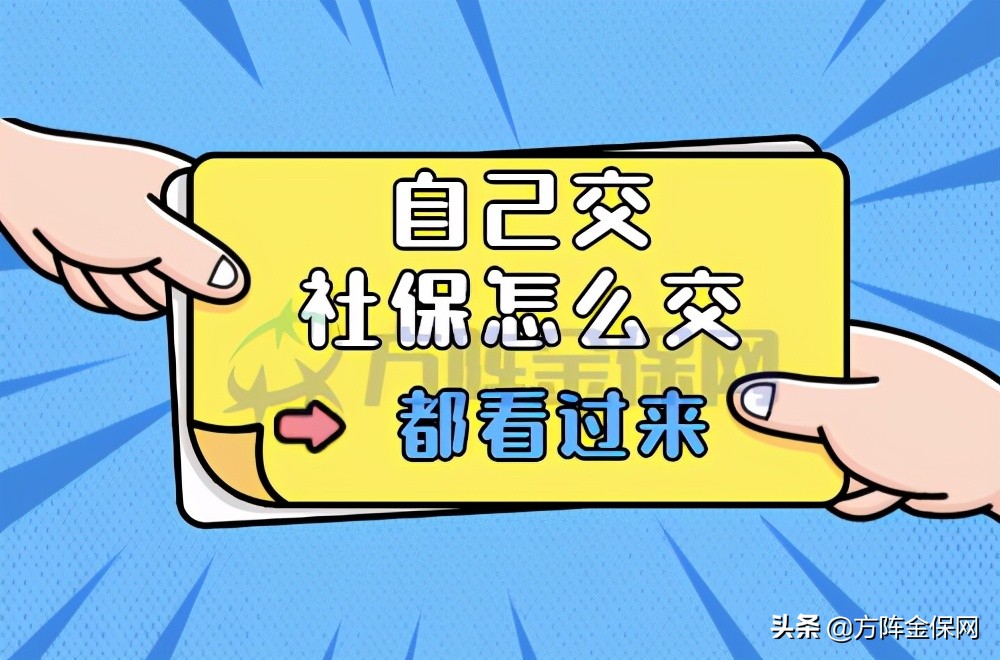 自己交社保怎么交?这两种方式你可以选择