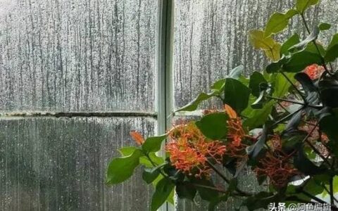 授权书时间一般多久及征信授权书授权期限