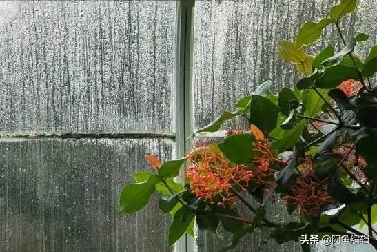 专利授权正常期限为几年？