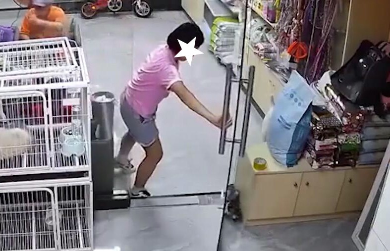 女孩推玻璃门夹死小猫，未必阴暗但缺仁爱，店主约其家长面谈解决