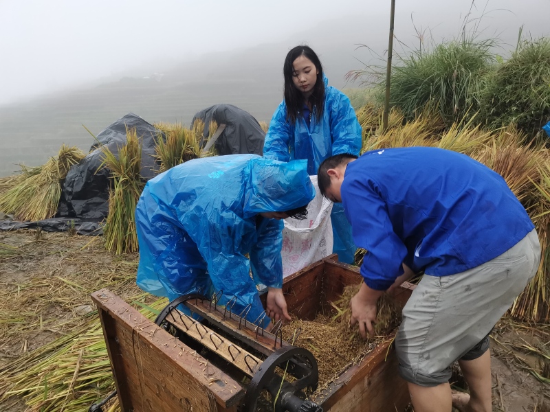 观山湖区有一家“又红又专”的律师事务所