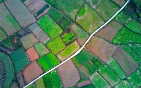 拆旧复垦补偿是多少及2024农村宅基地复垦补偿标准