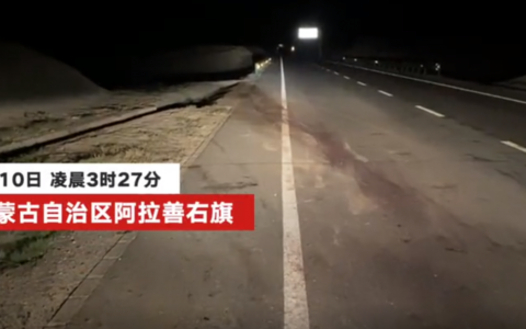 于月仙车祸事发路段常有骆驼穿行及凌晨时段视线受阻易发生车祸