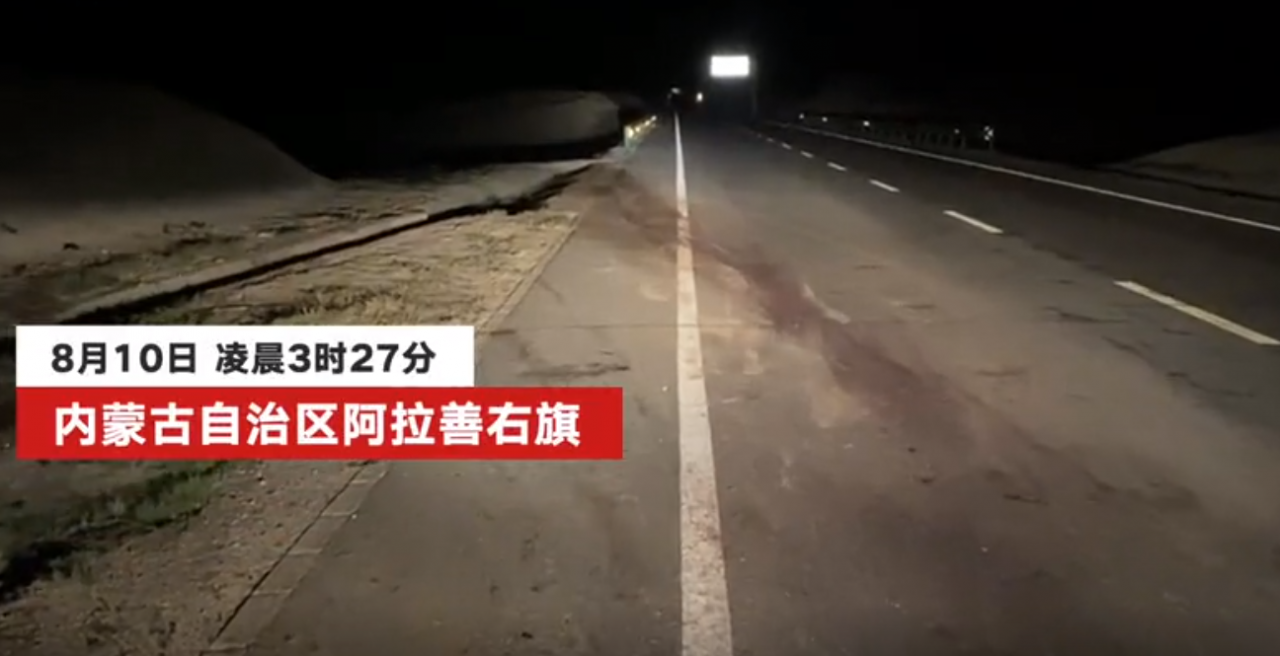 凌晨回访于月仙车祸地点：双向车道漆黑无灯，视野受限，骆驼穿行不怕人和车